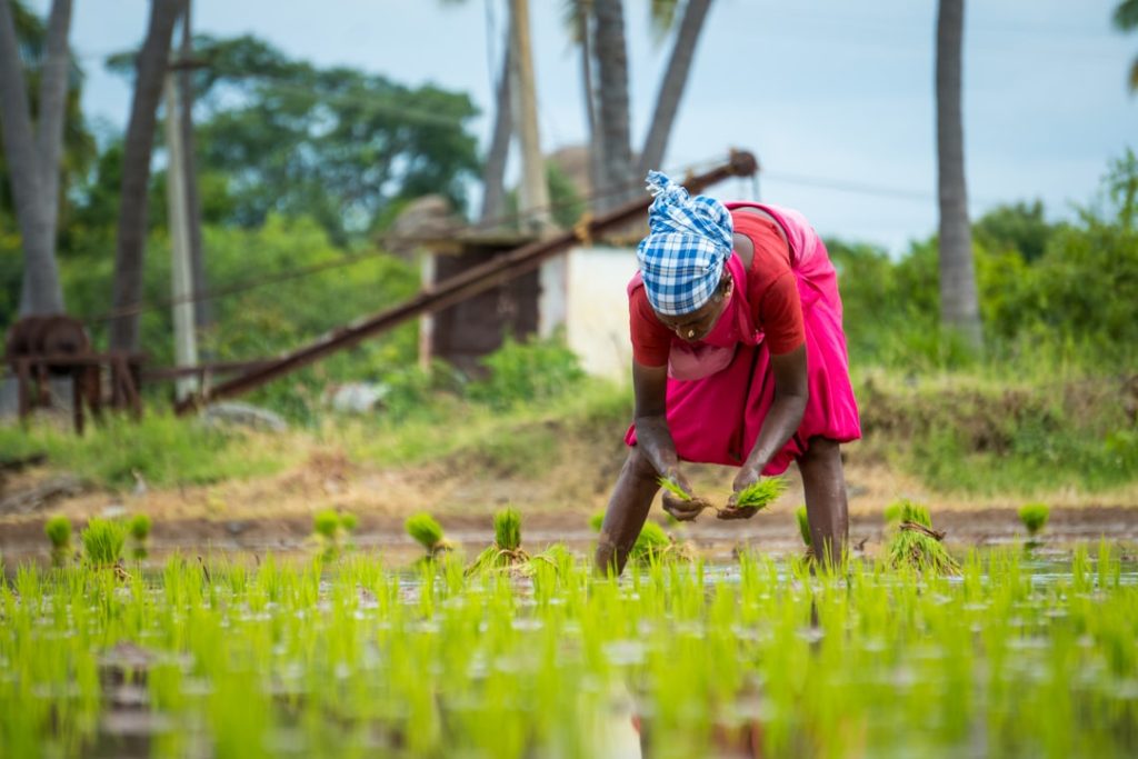 Photo Women farming