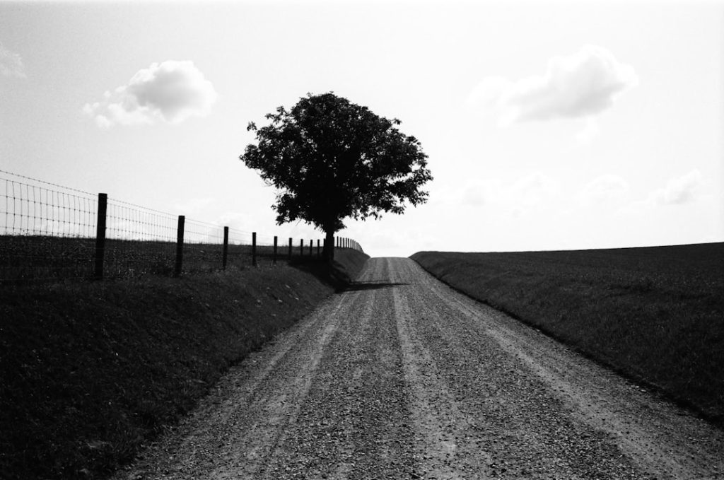 Photo Impact metrics