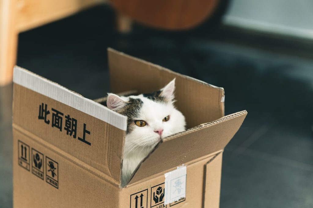Photo Donation box