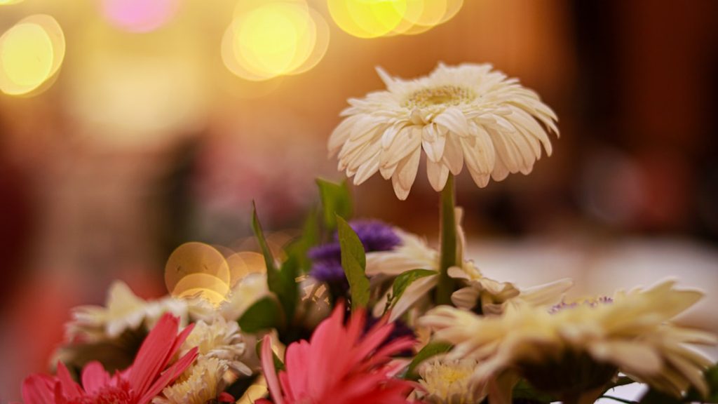 Photo Celebration photo