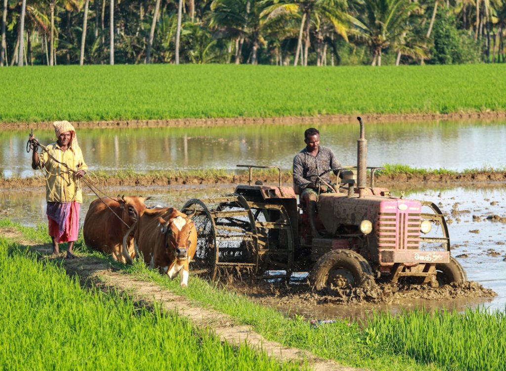Photo Agricultural field