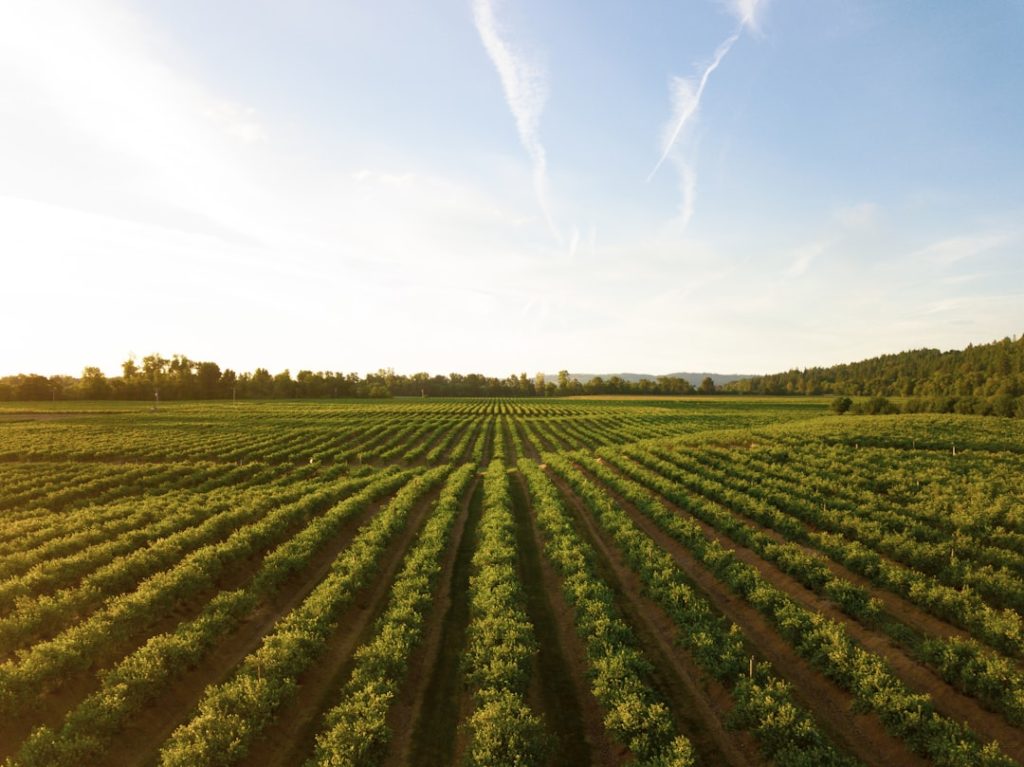 Photo Sustainable Farming