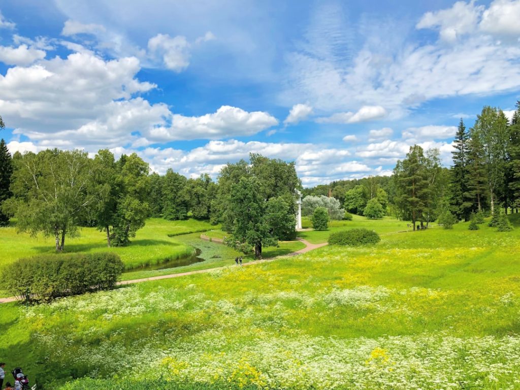 Photo Green farm