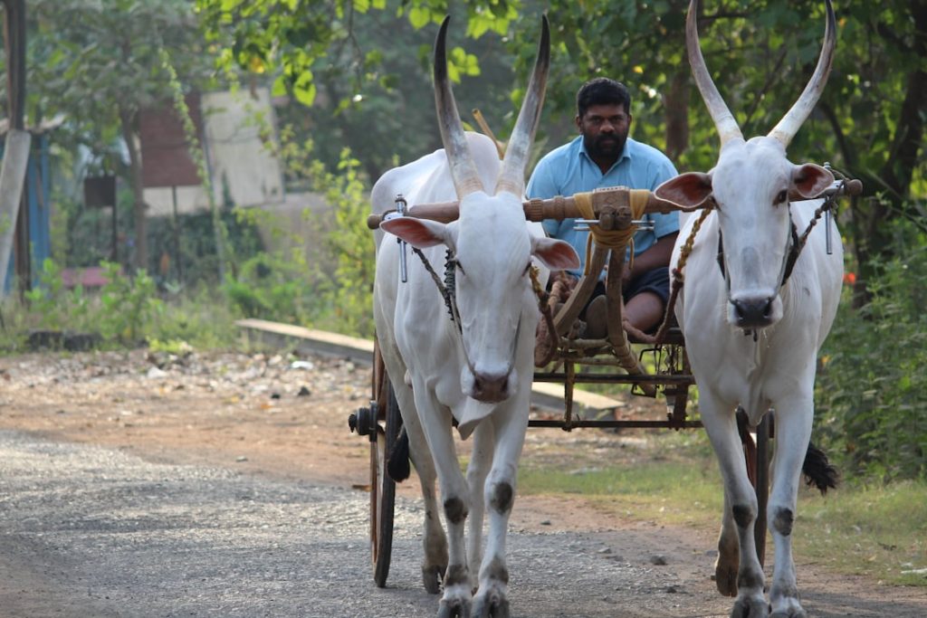 Photo Smallholder farmer receiving training
