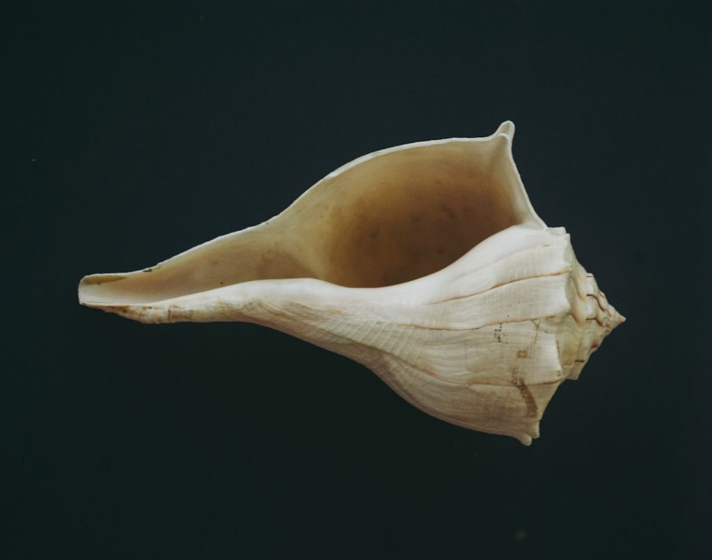Photo Underwater research