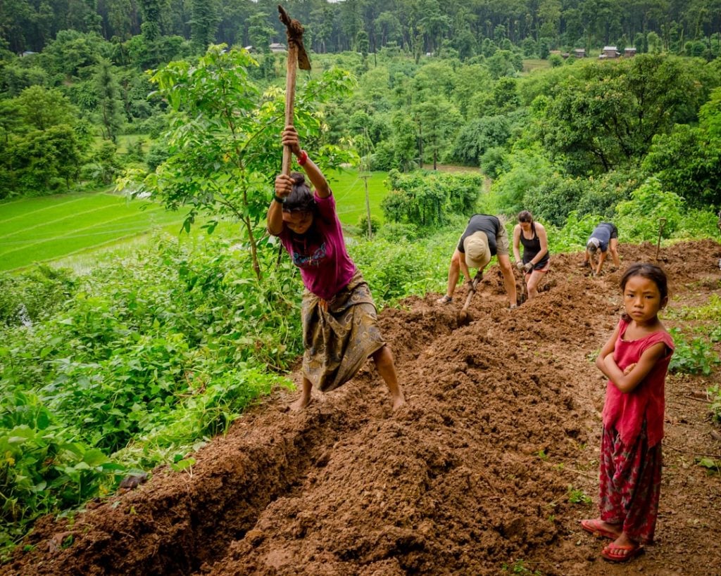 Photo Tree planting