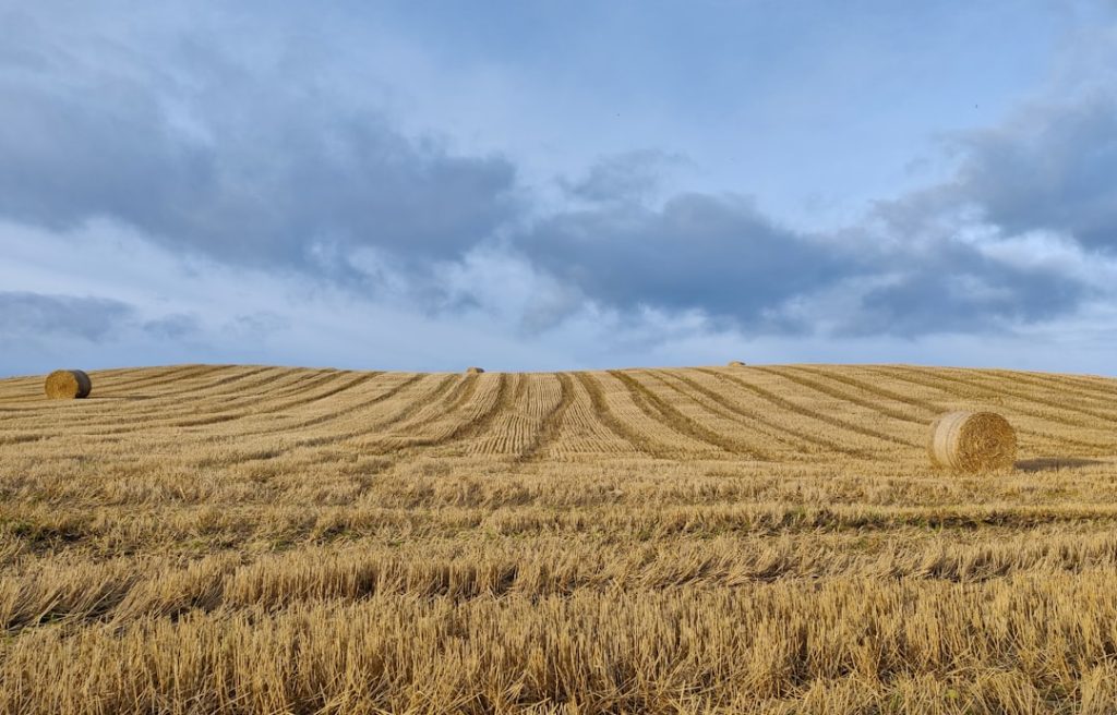 Photo Farm field