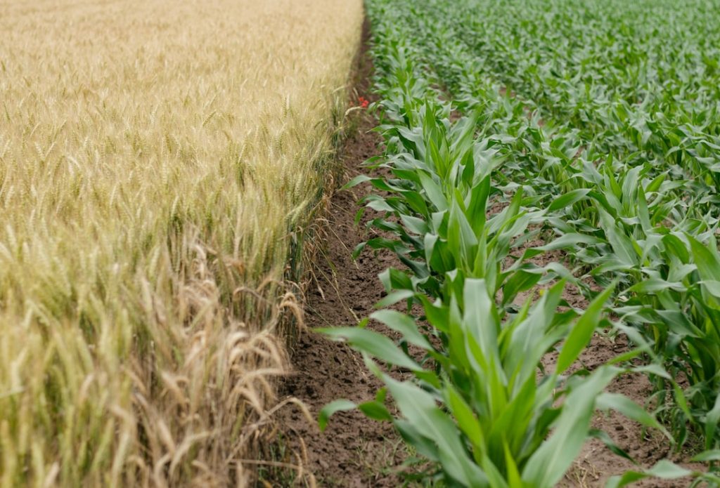 Photo Farming grant database
