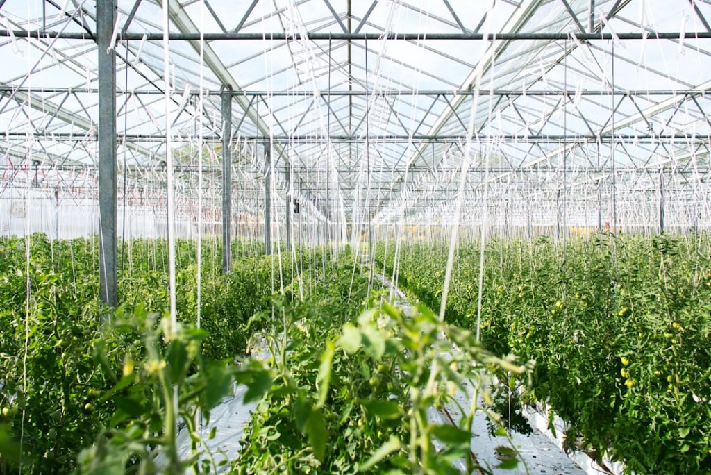 Photo Sustainable agriculture
