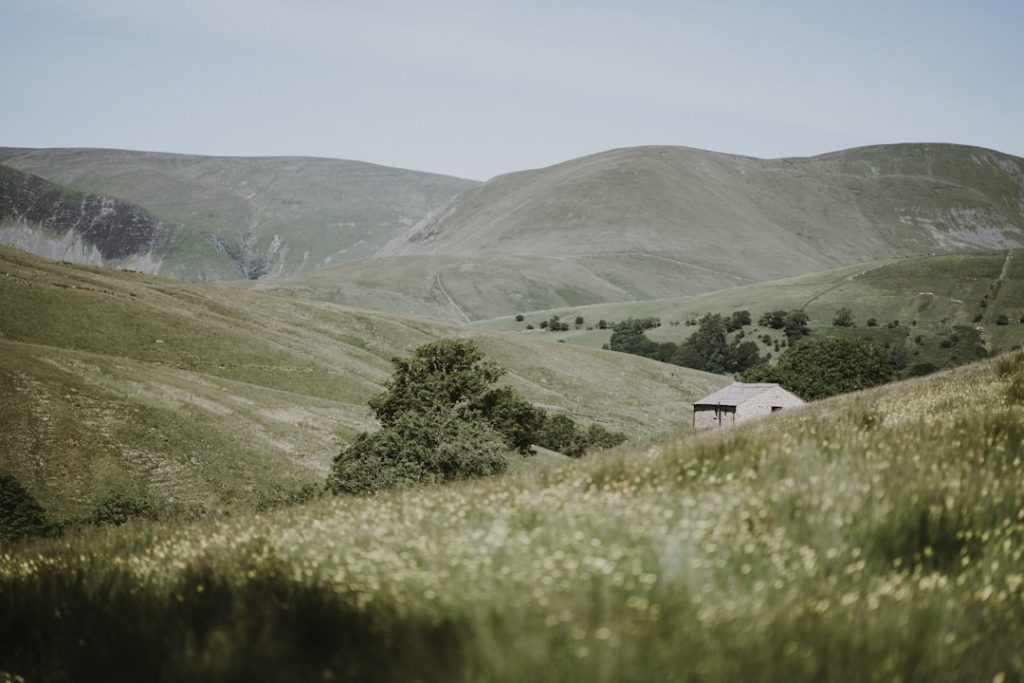 Photo Beehives in field