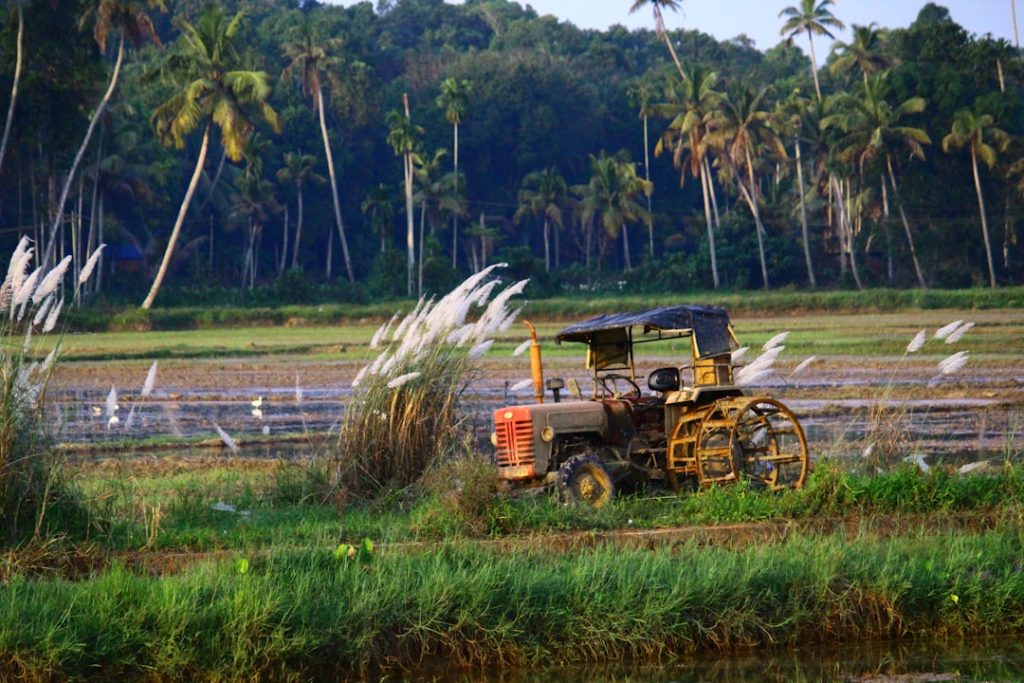 Photo Farmers planting crops