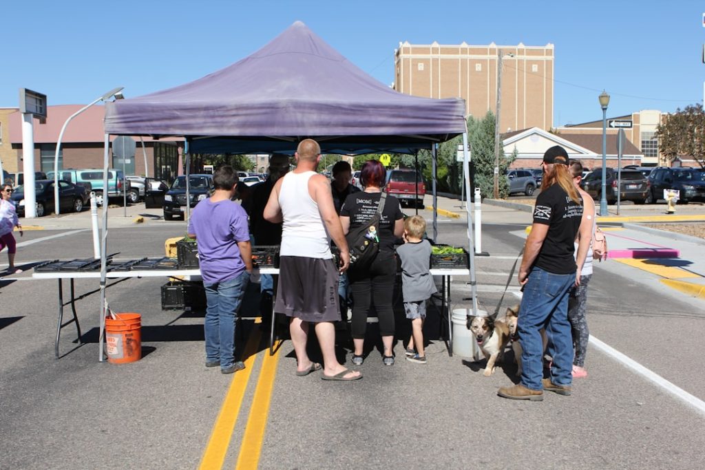Photo Farmers pitching