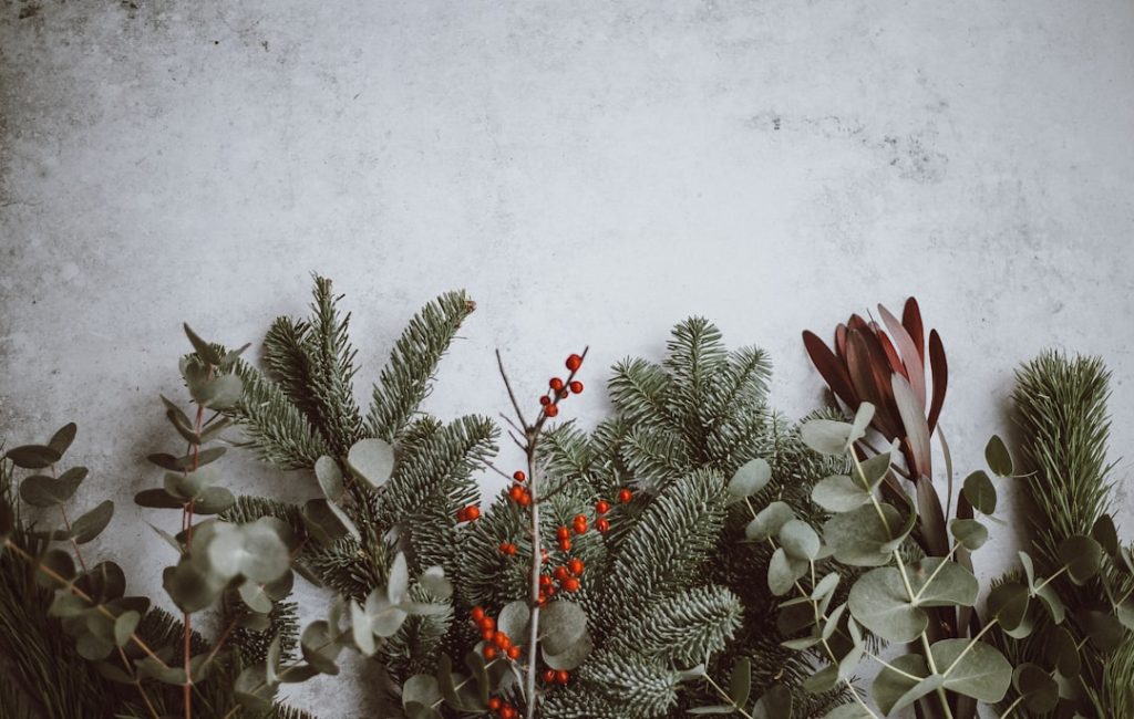 Photo Holiday season