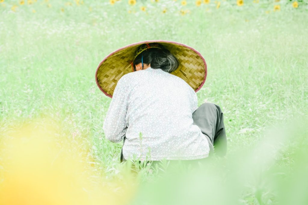 Photo Farmers planting crops