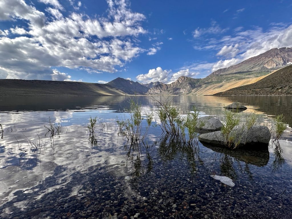 Photo Grant applications
