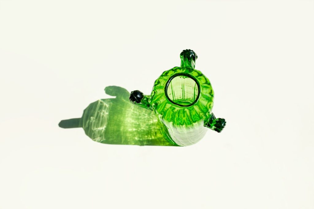 Photo Green oasis