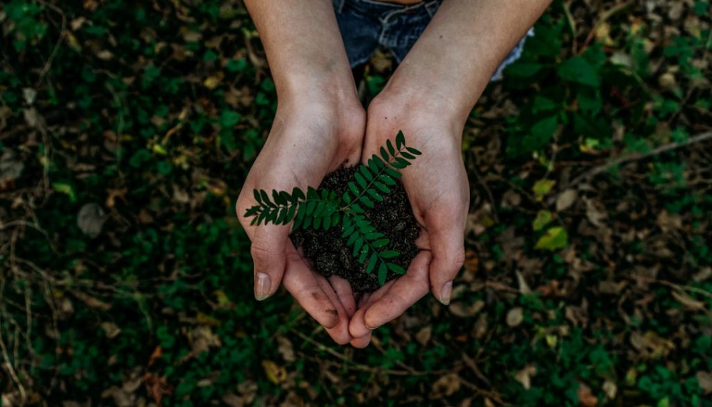 Photo Green investment