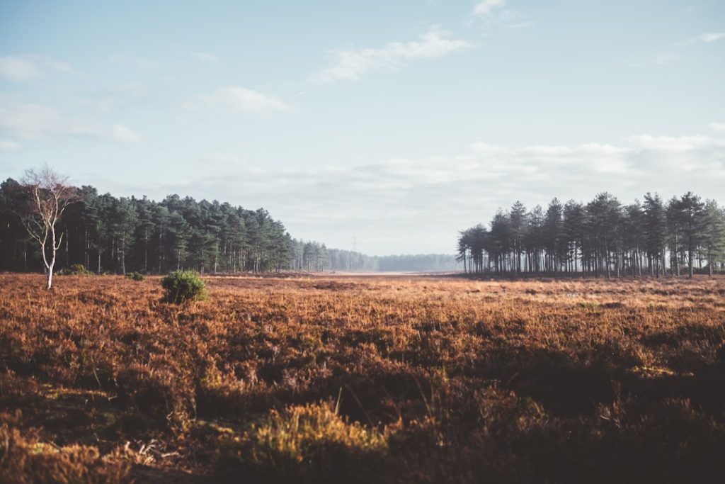 Photo Rural landscape