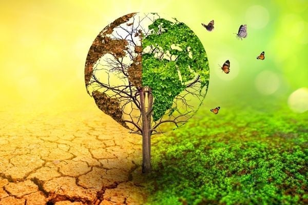 Applications open for Seeds of Sustainability Fund Program 2025