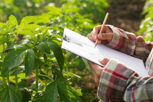Applications open for Multi-Country Project in Agri-Food