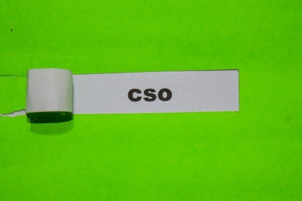 RYCO YPS Granting Scheme for CSOs