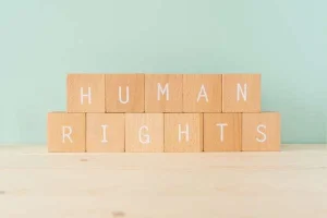 Grants for Human Rights, Democracy and Civil Society Organizations (Guinea)