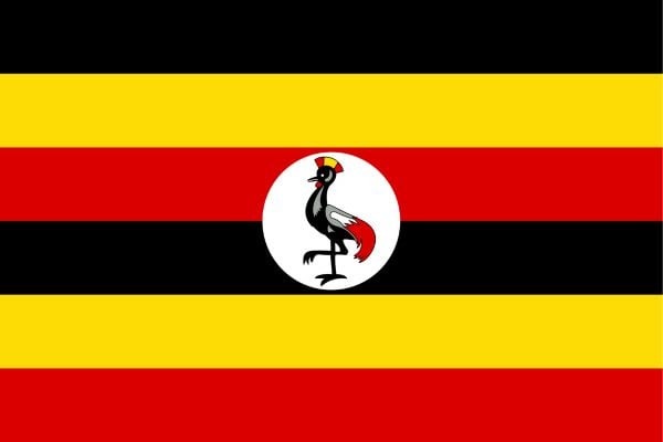 New Opportunities Curated for Uganda - Apply Today!