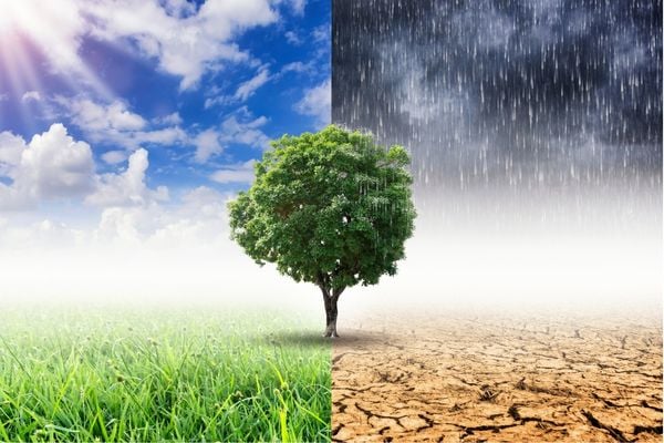 Strategic Integrated Projects “Climate Action” Programme