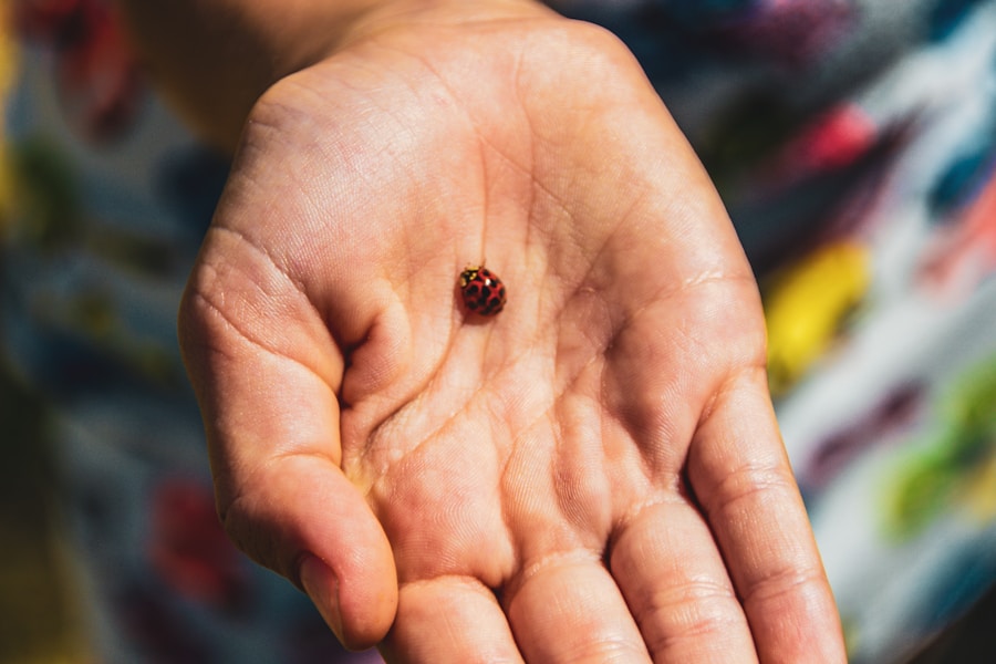 Photo "How Seed Grants Drive Community-Centered Development"