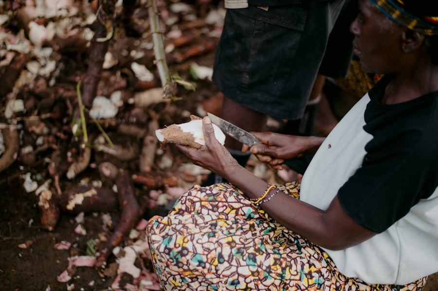 Photo "How Seed Grants Reduce the Risk of NGO Failure"