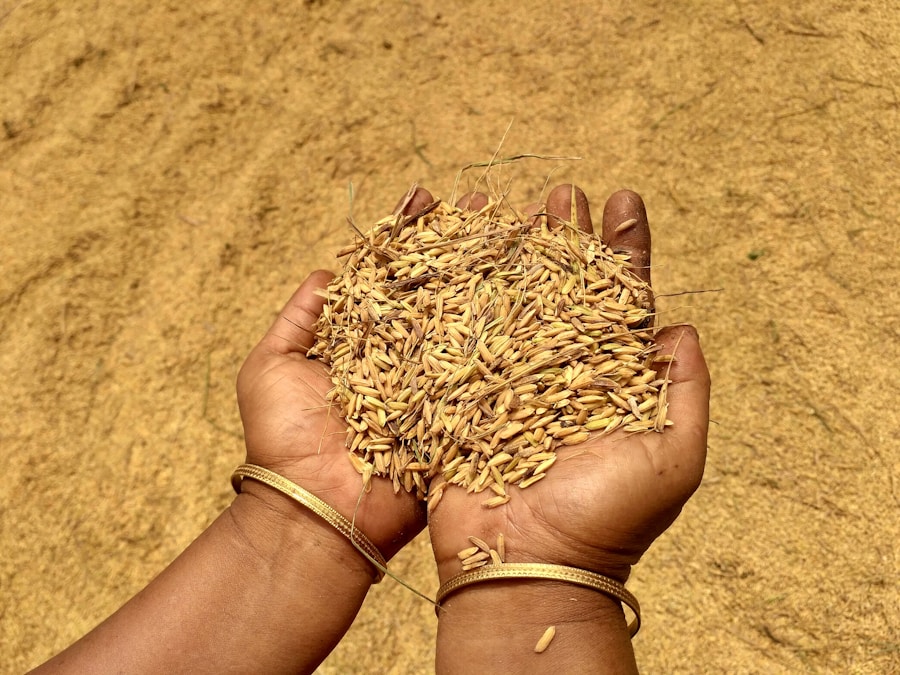 Photo "Seed Grants and Building NGO Track Records"