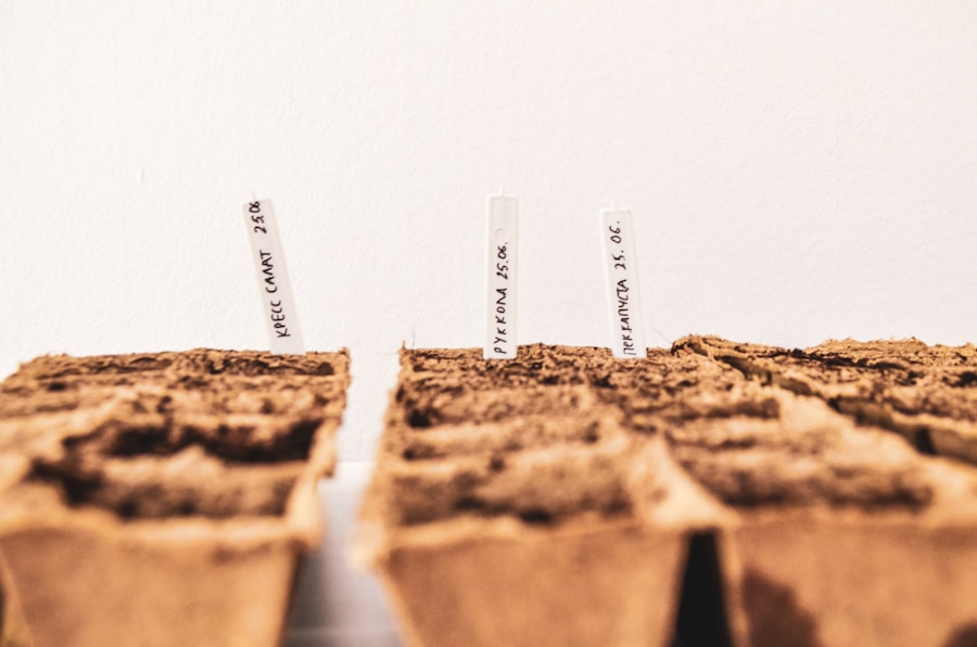 Photo "Why Seed Grants Are Key to Launching Bold Ideas"