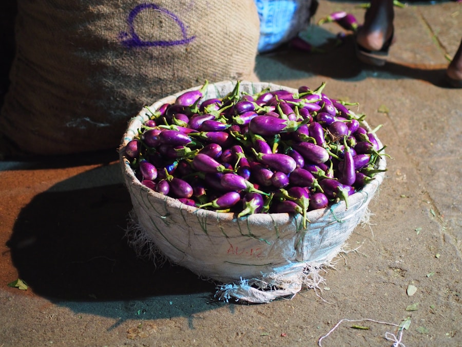 Photo "The Role of Seed Grants in NGO Resilience"