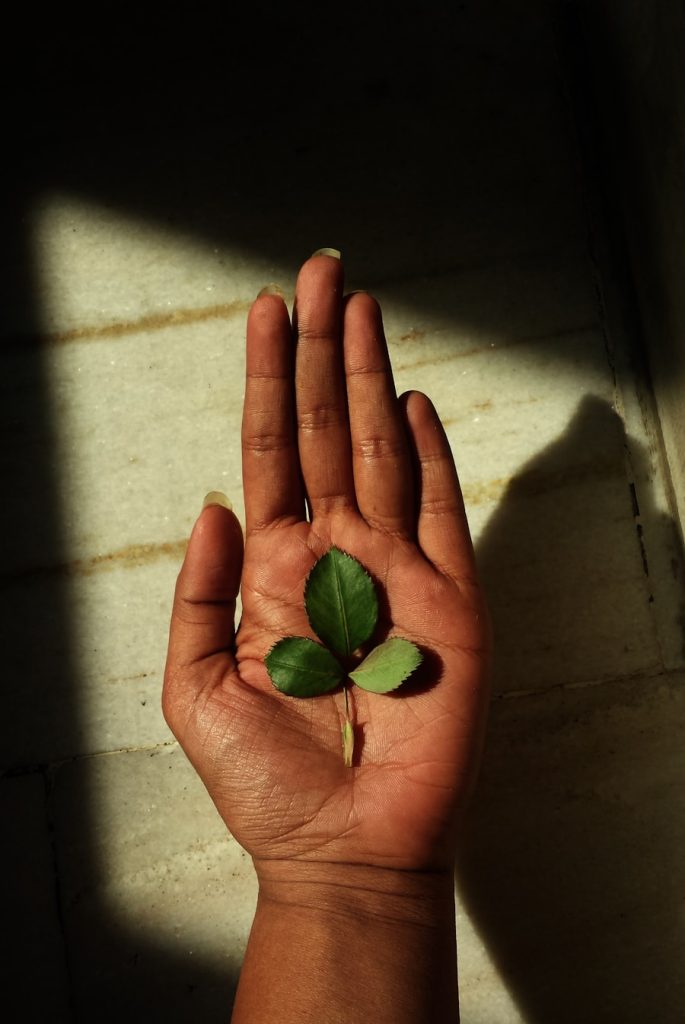 Photo "Seed Grants for NGOs: Myths and Realities"