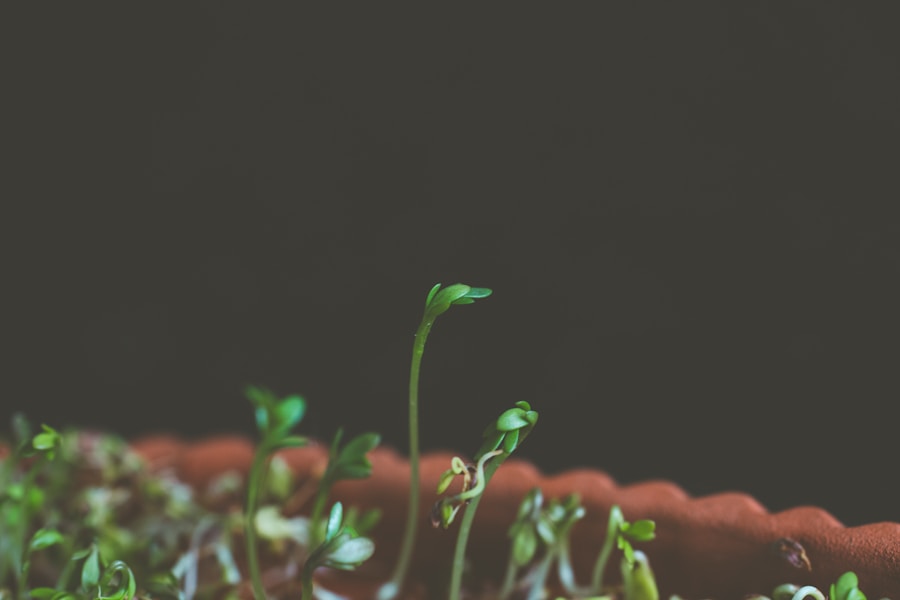 Photo "How to Use Seed Grants to Build Proof of Concept"