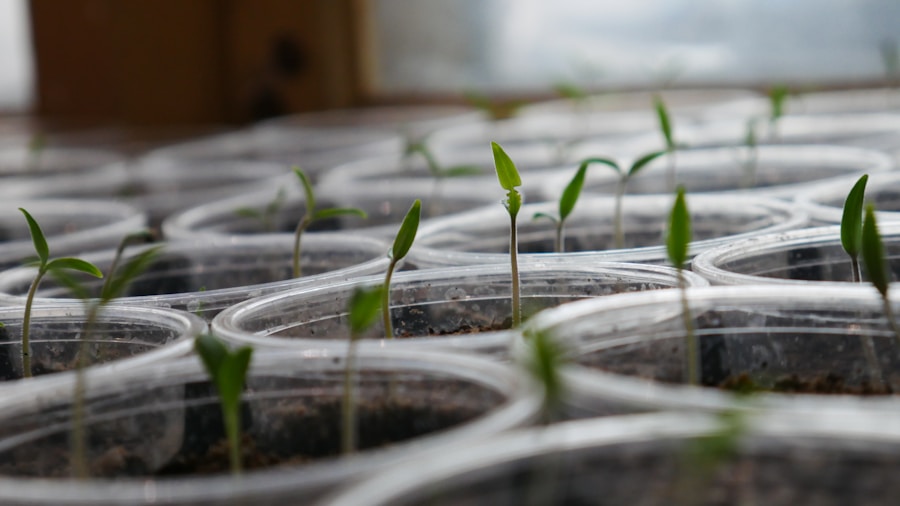 Photo "The Crucial First Funding: Why Seed Grants Matter"