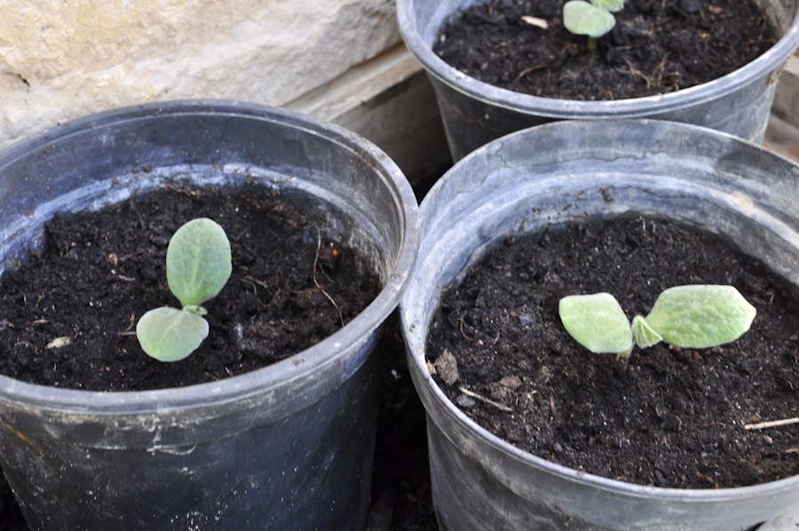 Photo "The Ripple Effect of a Well-Used Seed Grant"