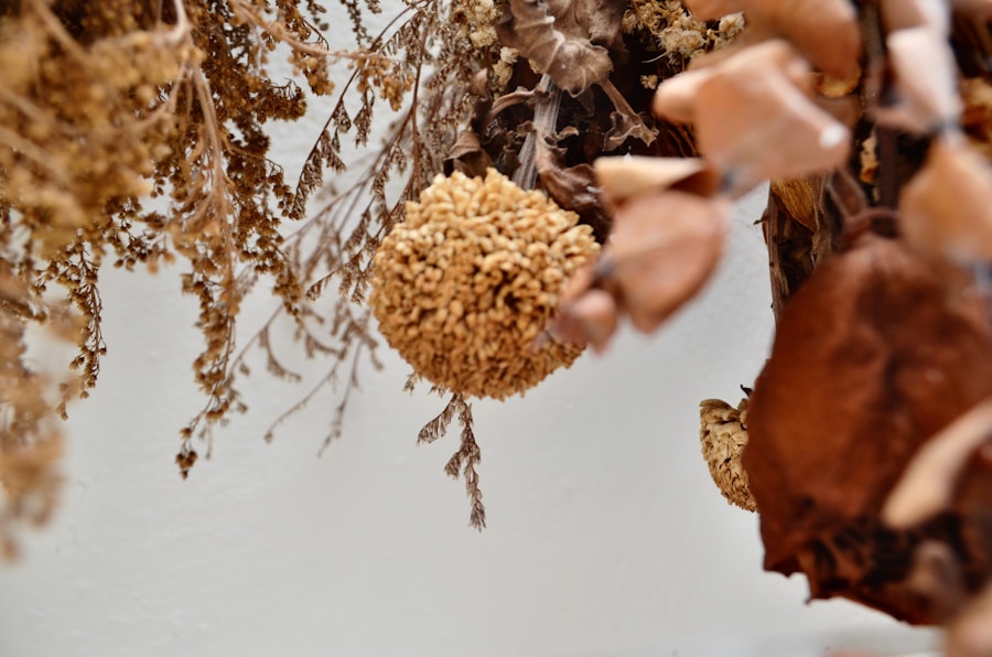 Photo "The Potential of Seed Grants in Fragile Contexts"
