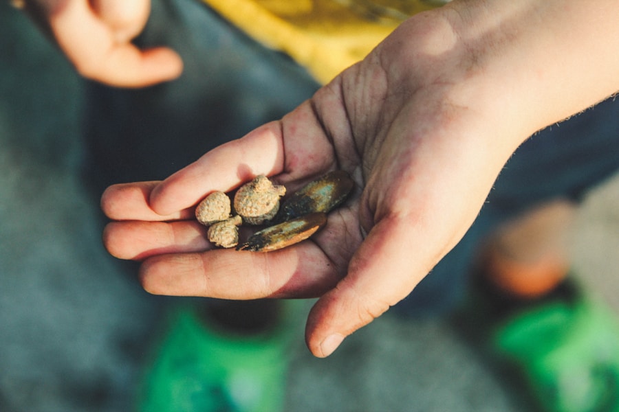 Photo "The Global Importance of Seed Grants in Social Good"