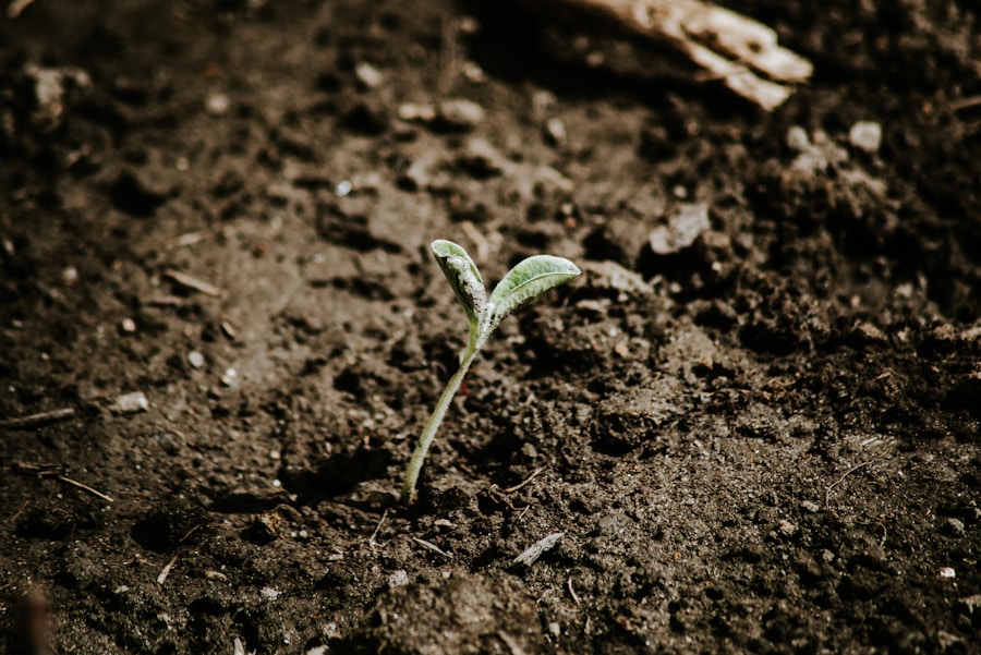 Photo Seed Grants: Fueling the Future of Social Change