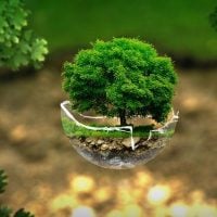Technical Assistance – Replication Projects: Nature and Biodiversity and Circular Economy and Quality of Life