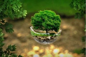 Technical Assistance – Replication Projects: Nature and Biodiversity and Circular Economy and Quality of Life