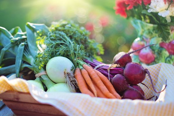 International Actions: Sustainable School Canteens Program