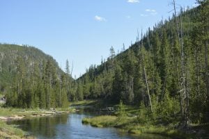 Photo Grants Supporting Environmental Protection