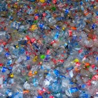 Photo Plastic-Free Community