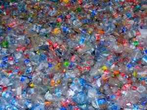 Photo Plastic-Free Community