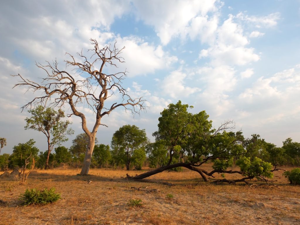 Photo Donors Supporting Climate Action & Biodiversity