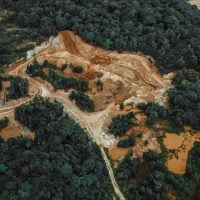 Photo Deforestation