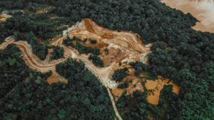 Photo Deforestation