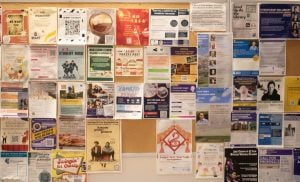 Photo NGOs, Sustainability, Innovative, Proposals